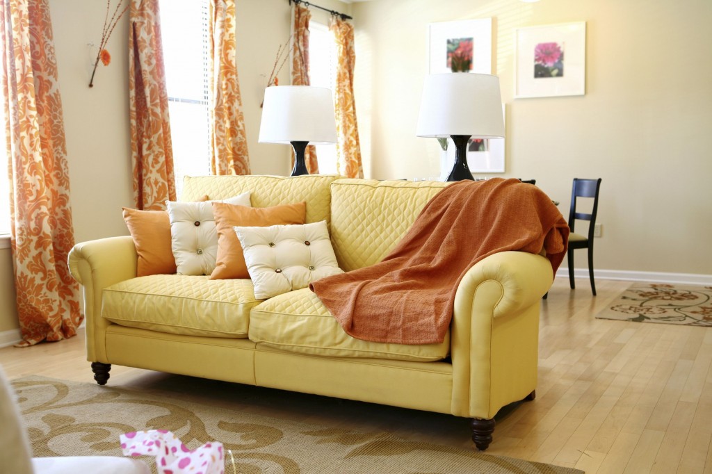 how to clean carpets like a pro how to clean carpets like a pro