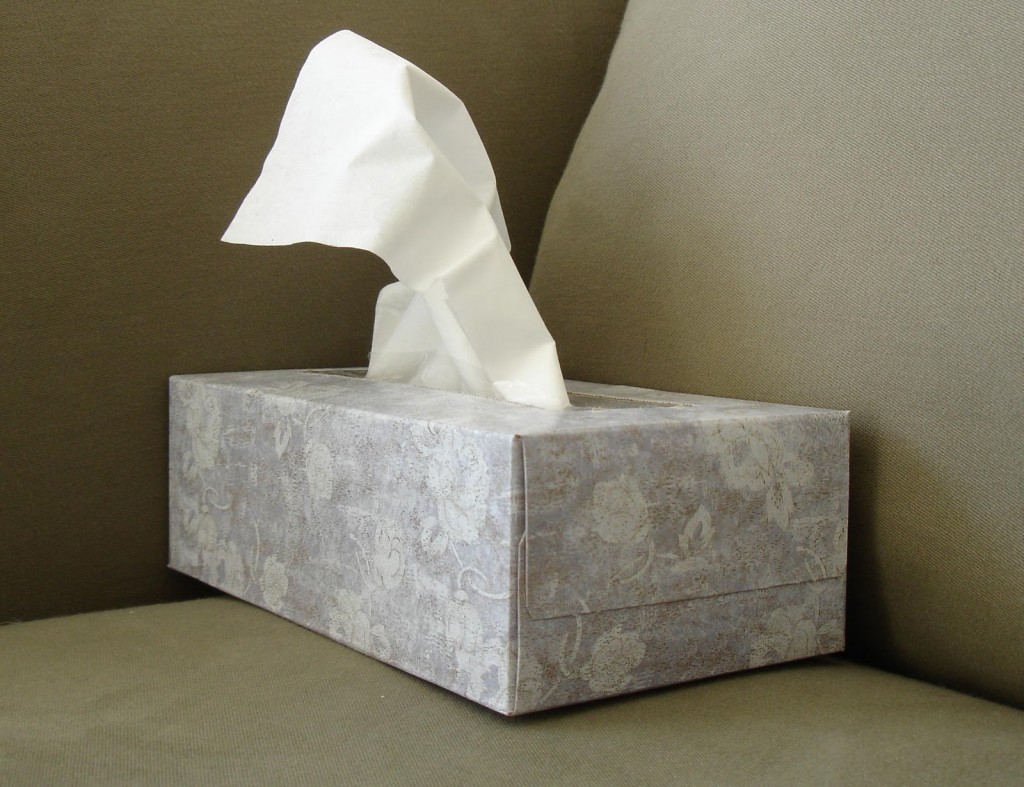deep cleaning with Kleenex?