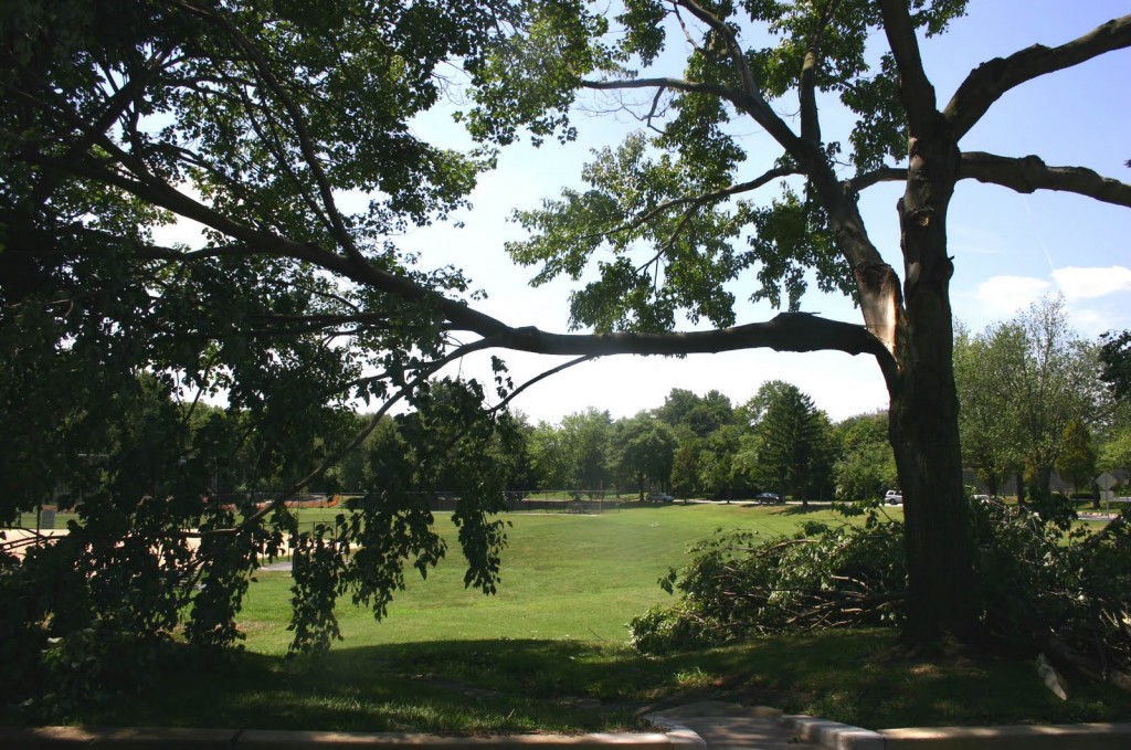 storm damaged trees to be cleaned up in Cleveland