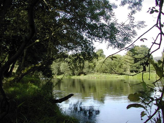 river beds to be cleaned