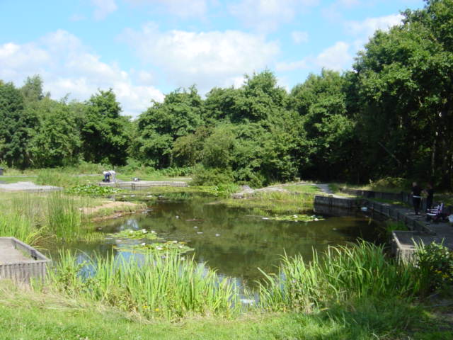 pond cleaning