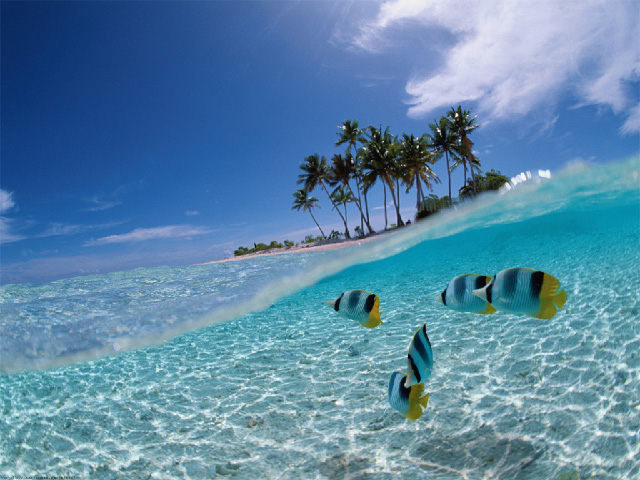 Cayo Coco, Cuba